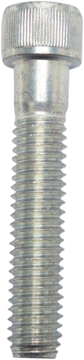 S&S CYCLE 3/8-16 X 2" Zinc-Plated Steel Socket Head Cap Srew - 50-0164