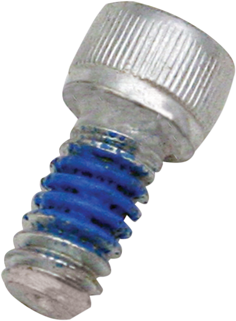 S&S CYCLE Screw, 1/4-20 x 1/2, Socket Head - 106-2084 - PartsOutlet.com.au