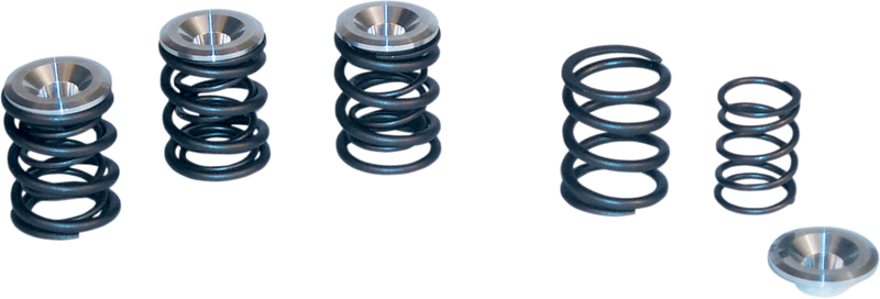 S&S CYCLE .550" Lift Double Valve Spring Kit for '48-'84 Panhead and Shovelhead Engines - 90-2053