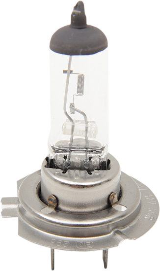 DRAG SPECIALTIES Halogen Bulb - H7 - 55 W H7-55 - PartsOutlet.com.au