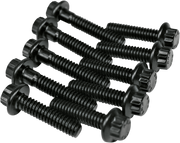FEULING OIL PUMP CORP. Bolt Kit - Oil Pump - '99-'17 Twin Cam 8020 - PartsOutlet.com.au
